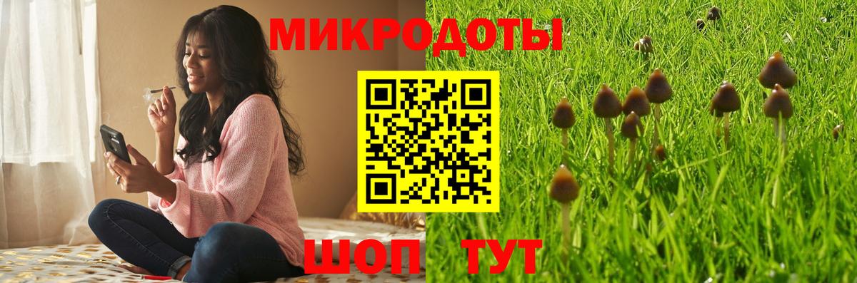 Псилоцибиновые грибы мицелий Ирбит