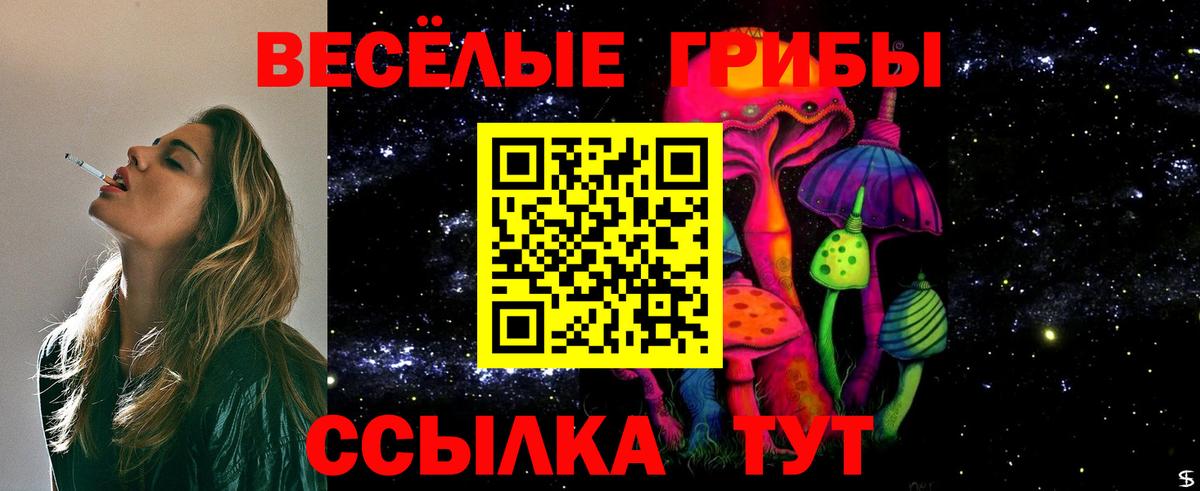 Ирбит  Галлюциногенные грибы Psilocybine cubensis  Вход с VPN  Псилоцибиновые грибы мицелий 